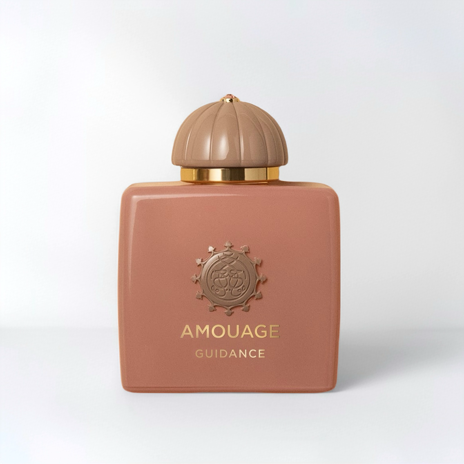 AMOUAGE GUIDANCE 100ML – Mystique_hk