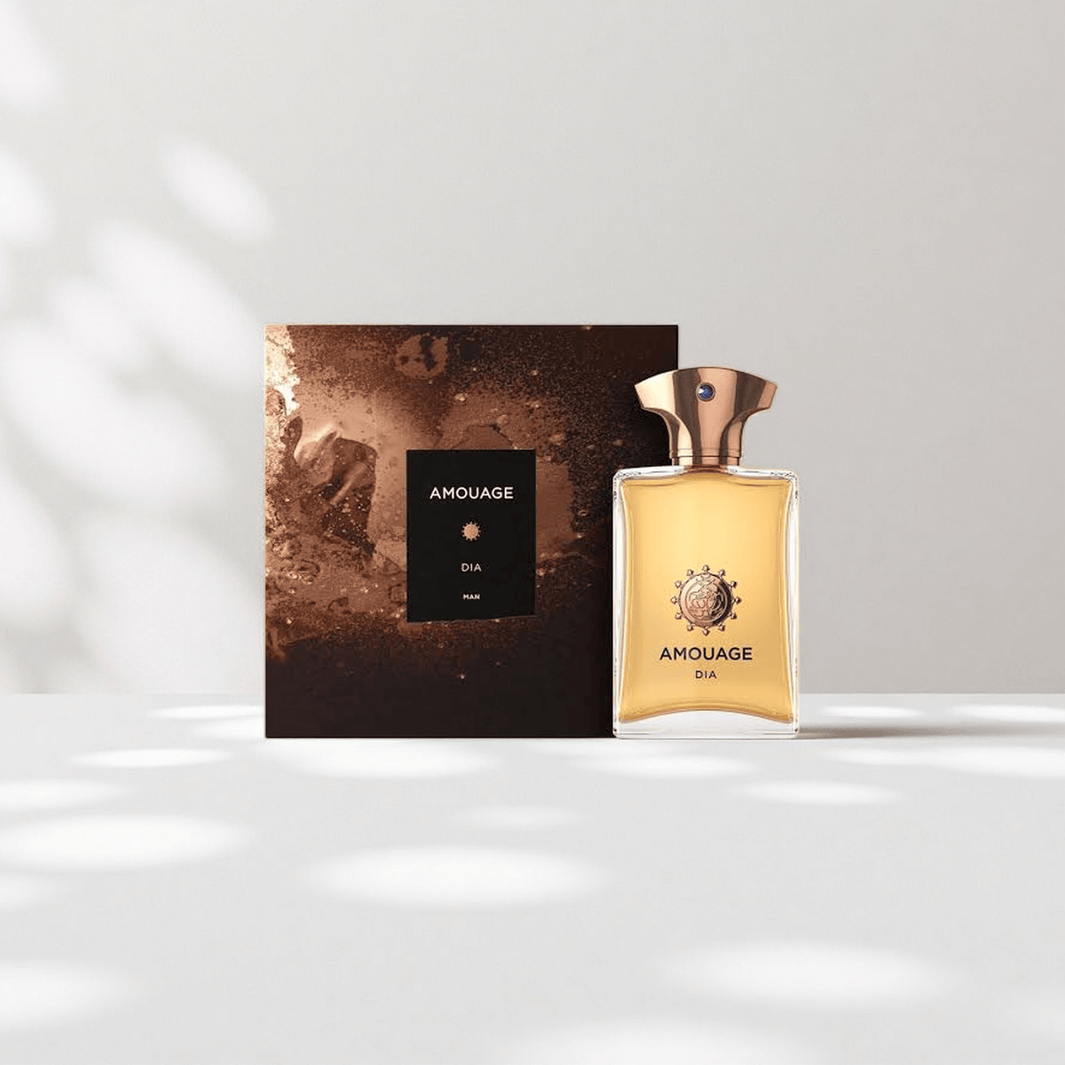 AMOUAGE DIA MAN EAU DE PARFUM 100ML