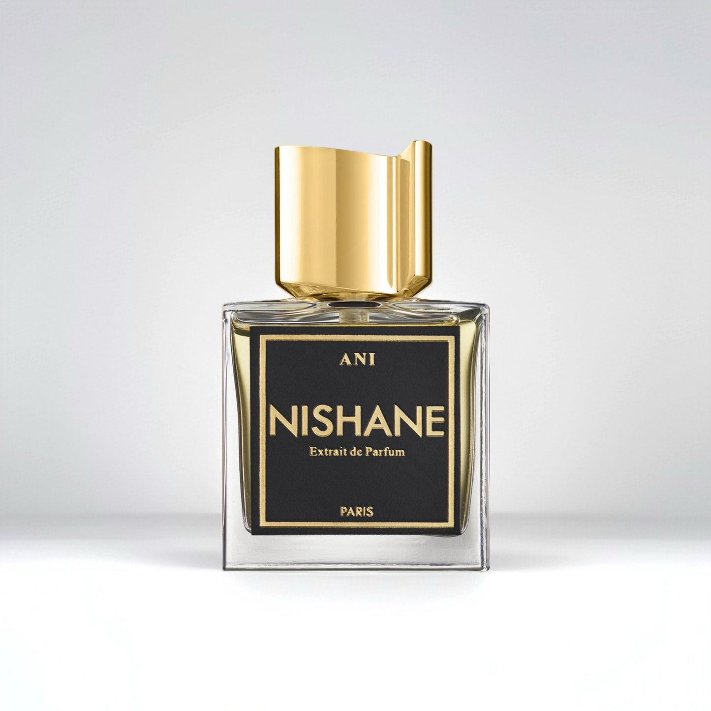 NISHANE ANI EXTRAIT DE PARFUM 100ML[TESTER PACKING]