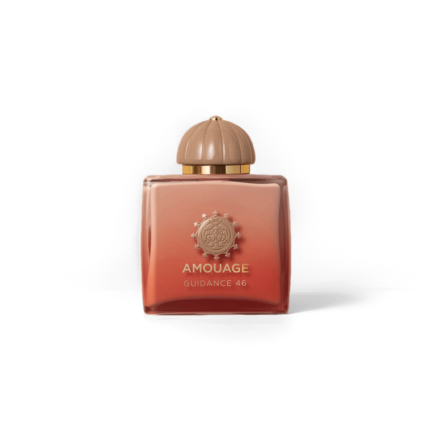 AMOUAGE GUIDANCE 46 EXTRAIT DE PARFUM 100ML