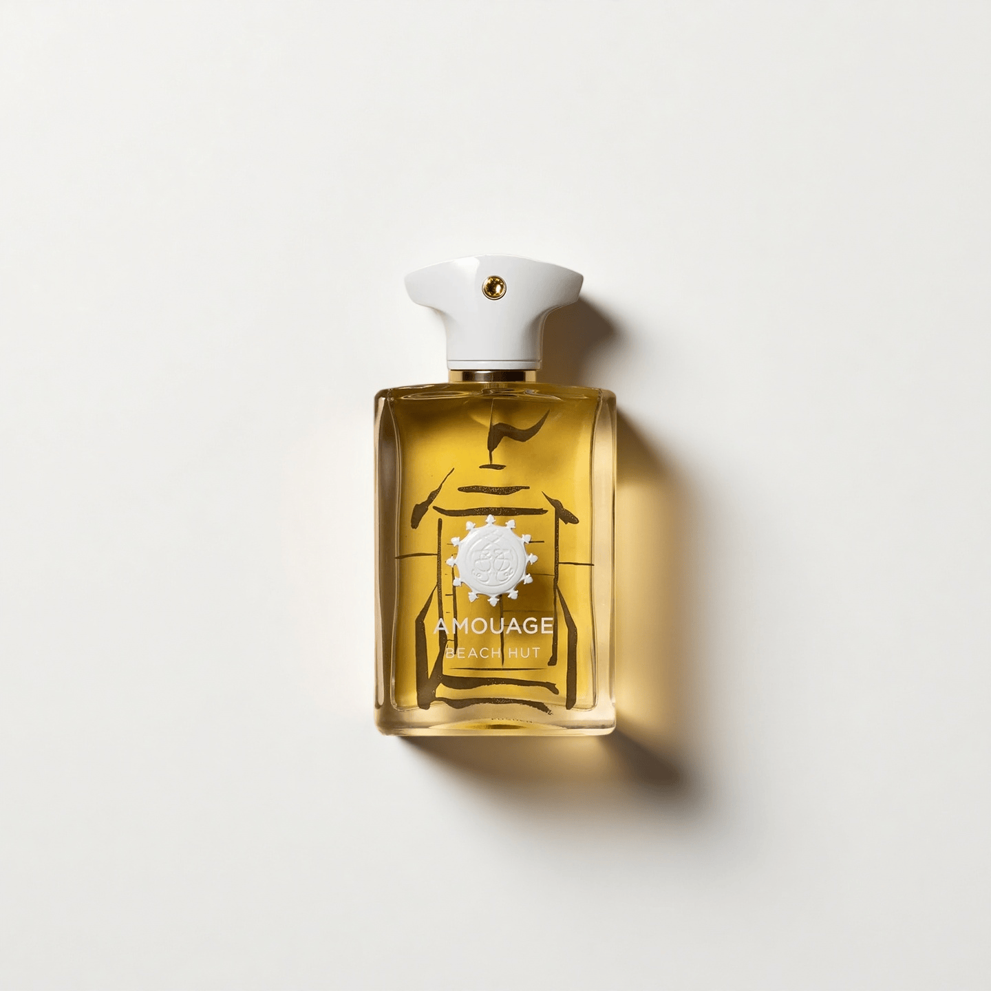 AMOUAGE BEACH HUT MAN EAU DE PARFUM 100ML