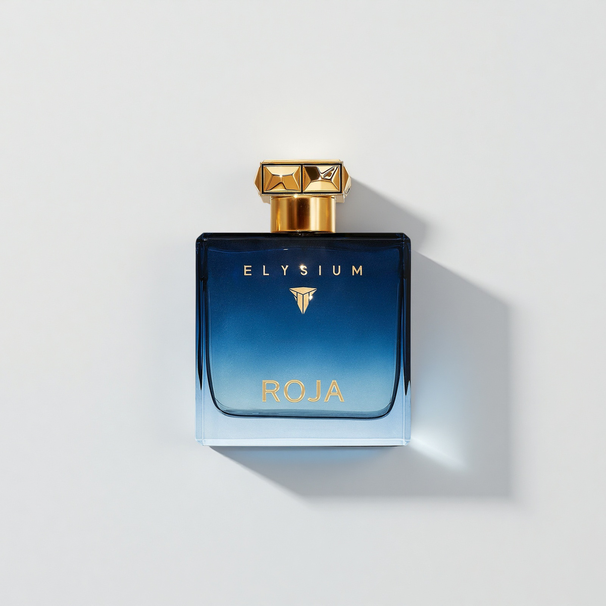 Roja Parfums Elysium Pour Homme Parfum Cologne 100ml