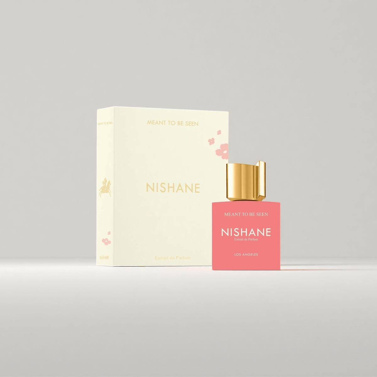 NISHANE MEANT TO BE SEEN EXTRAIT DE PARFUM